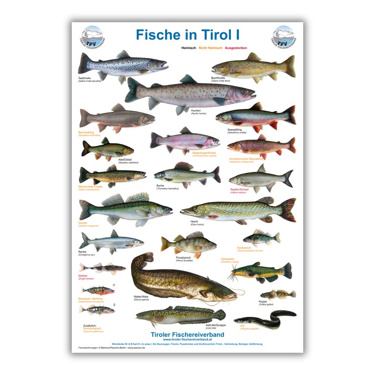 Poster-2.jpg