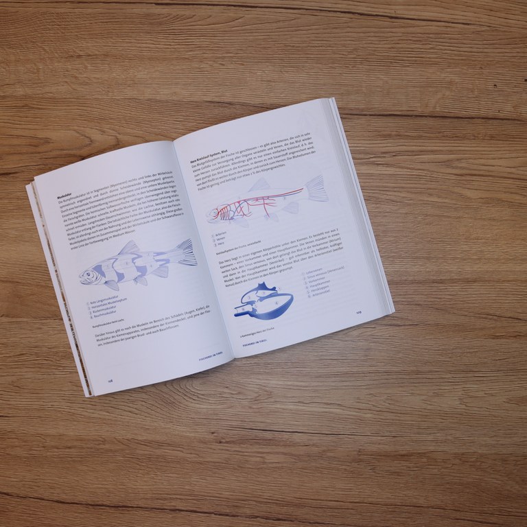Buch-2.JPG