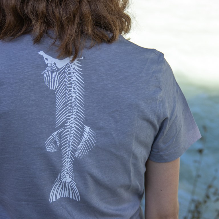 IMG_5228.jpg IMG_5228.jpg