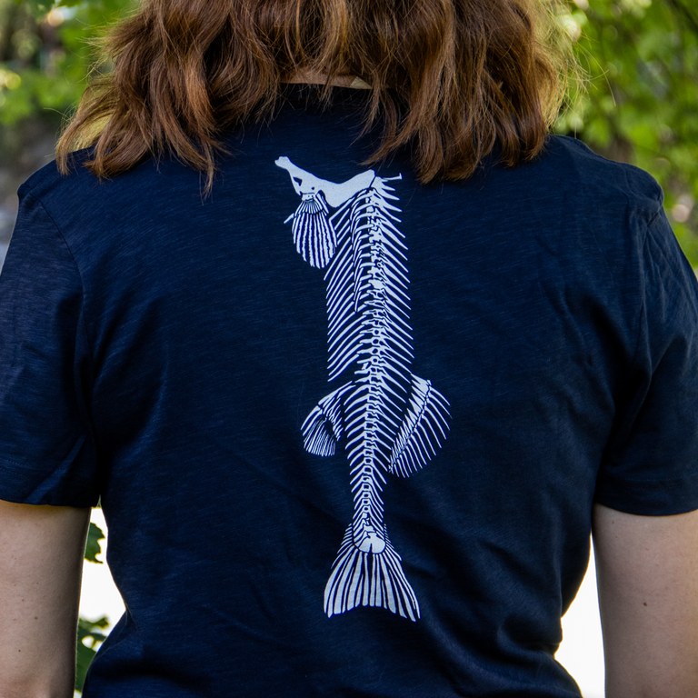 IMG_5251.jpg IMG_5251.jpg